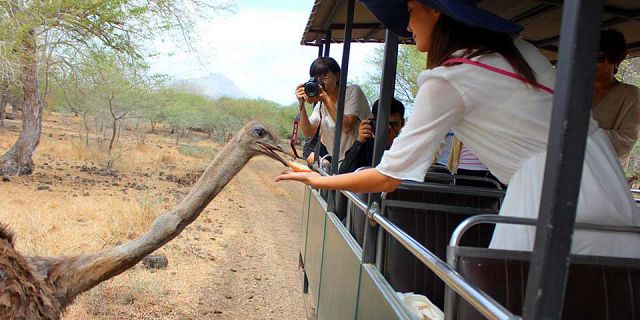 Mauritius casela adventure safari park (5)
